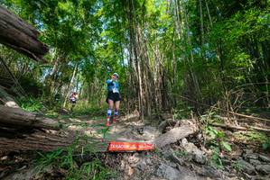 BIB: 
                            <button type="button" onclick="openModal(19389641)" class="btn btn-primary btn-sm float-right btn-popup" data-toggle="modal" data-target=".modal-high-quality">
                        <i class="fas fa-shopping-cart"></i> Add to Cart
                    </button>
                                            <button type="button" onclick="isThisMe(19389641, true)" class="btn btn-success btn-sm float-right btn-popup btn-isme hidden" data-toggle="tooltip" data-placement="bottom" title="นี่คือรูปของคุณใช่ไหม คลิกที่นี่เพื่อเอาเข้าอัลบั้ม">
                        <i class="fas fa-plus"></i> Add to album
                    </button>
                    <button type="button" onclick="isThisMe(19389641, false)" class="btn btn-warning btn-sm float-right btn-popup btn-isnotme hidden">
                        <i class="fas fa-ban"></i> Remove from album
                    </button>